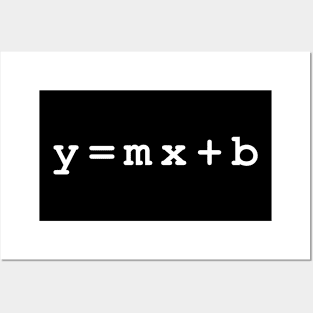 y = mx + b Posters and Art